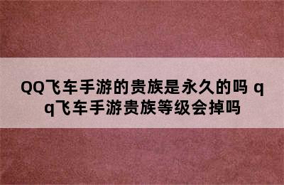 QQ飞车手游的贵族是永久的吗 qq飞车手游贵族等级会掉吗